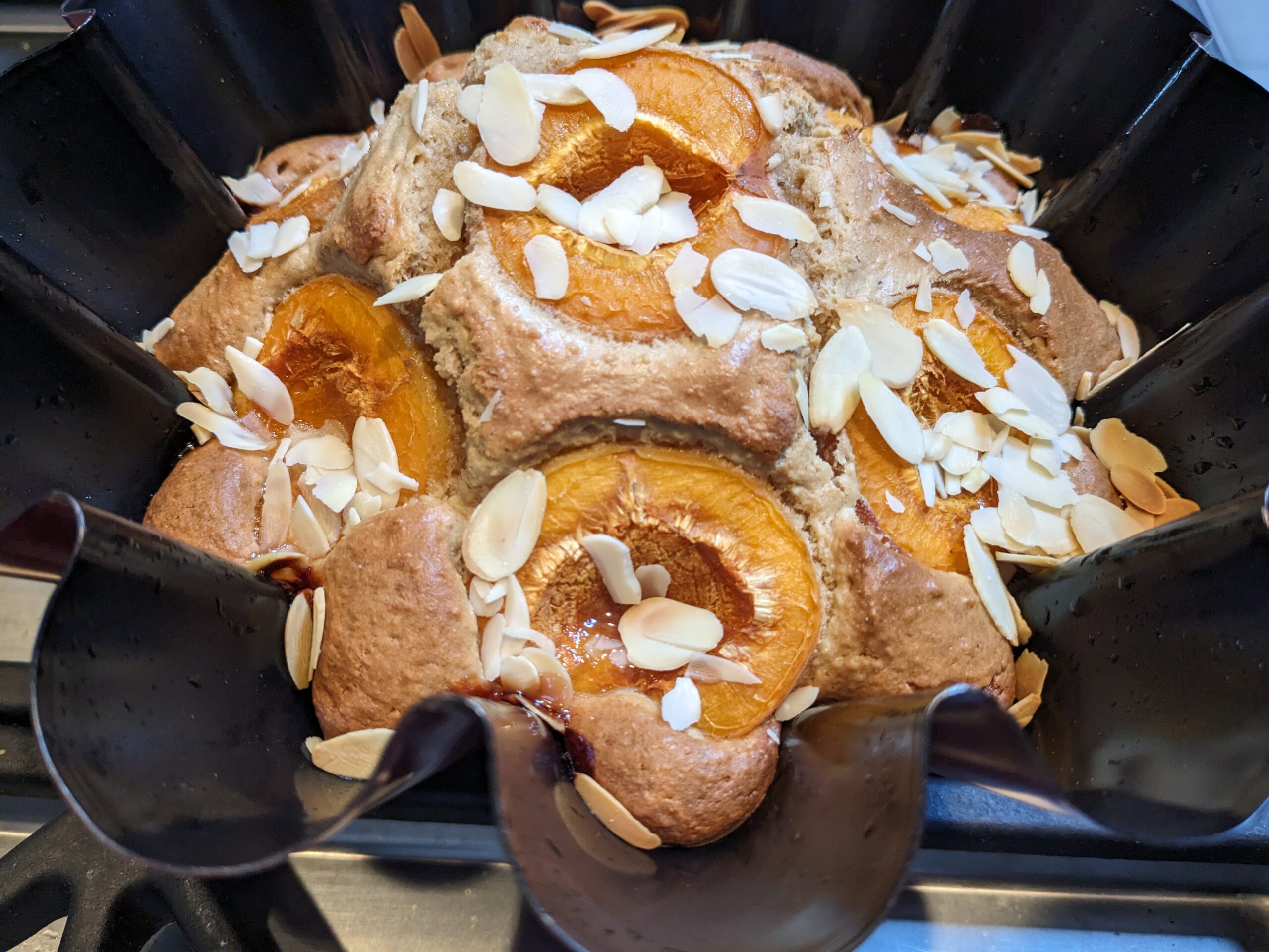 Moelleux aux abricots, amandes et miel